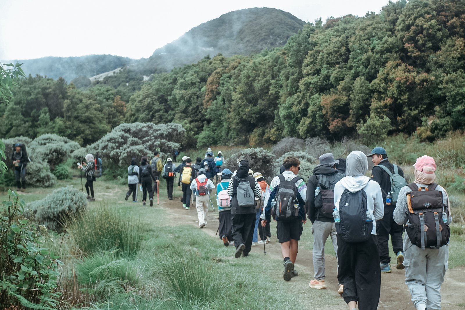 Trekking Gunung/ Curug/ Hutan